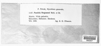 Puccinia fergussonii image